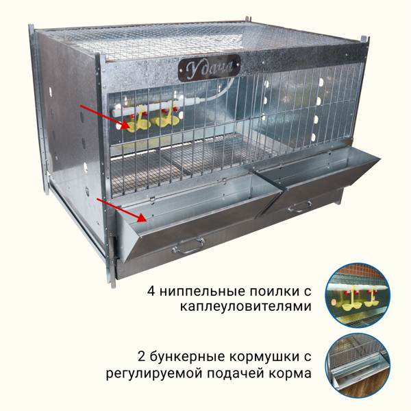 Проект клеточная батарея для выращивания индейки